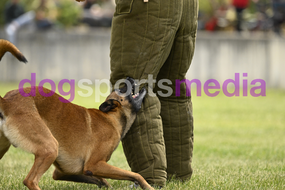 Preview _JRI_19586.jpg